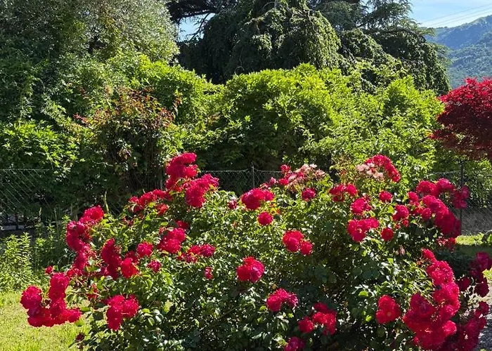 Casa Ilde リエルナ